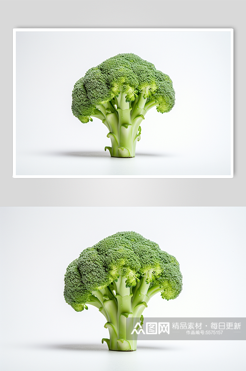 数字艺术西兰花蔬菜图片素材
