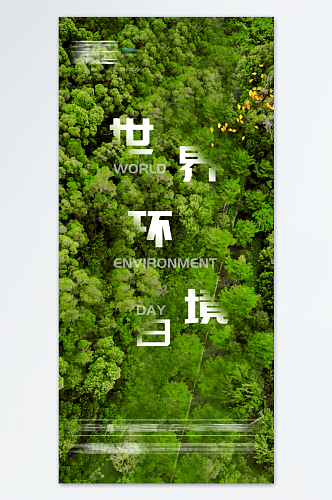 创意树叶树苗环境日宣传海报