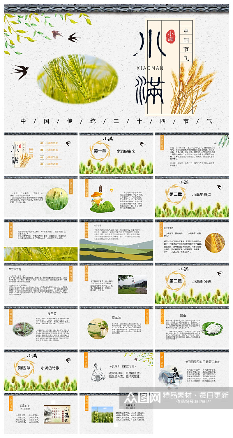 二十四节气小满ppt素材