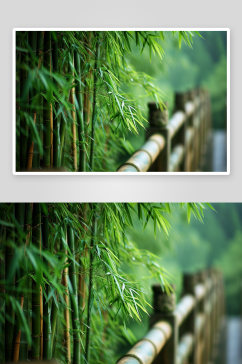 数字艺术竹林竹子图片