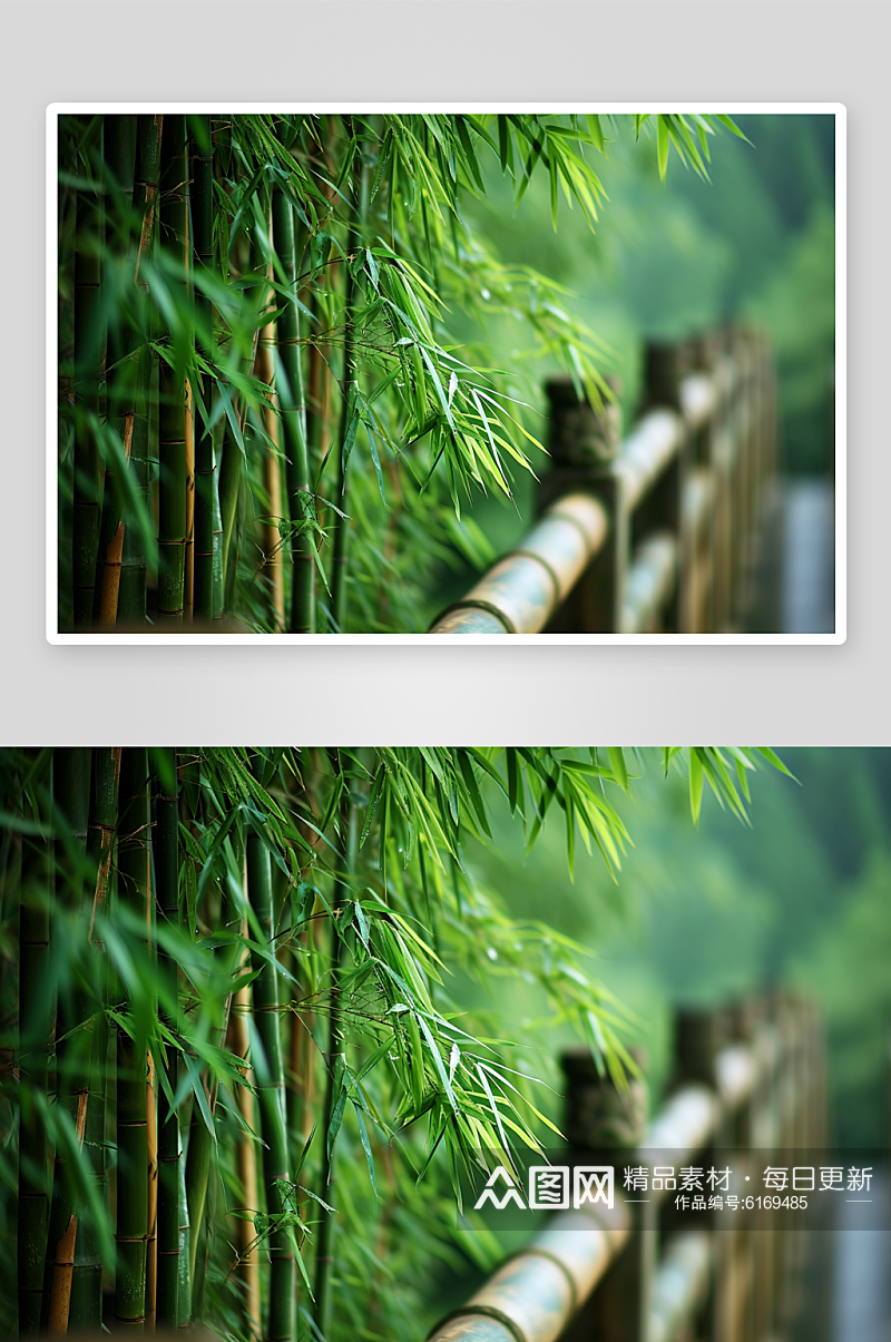 数字艺术竹林竹子图片素材
