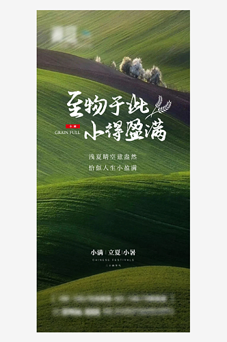 小满小暑大暑立夏二十四节气海报