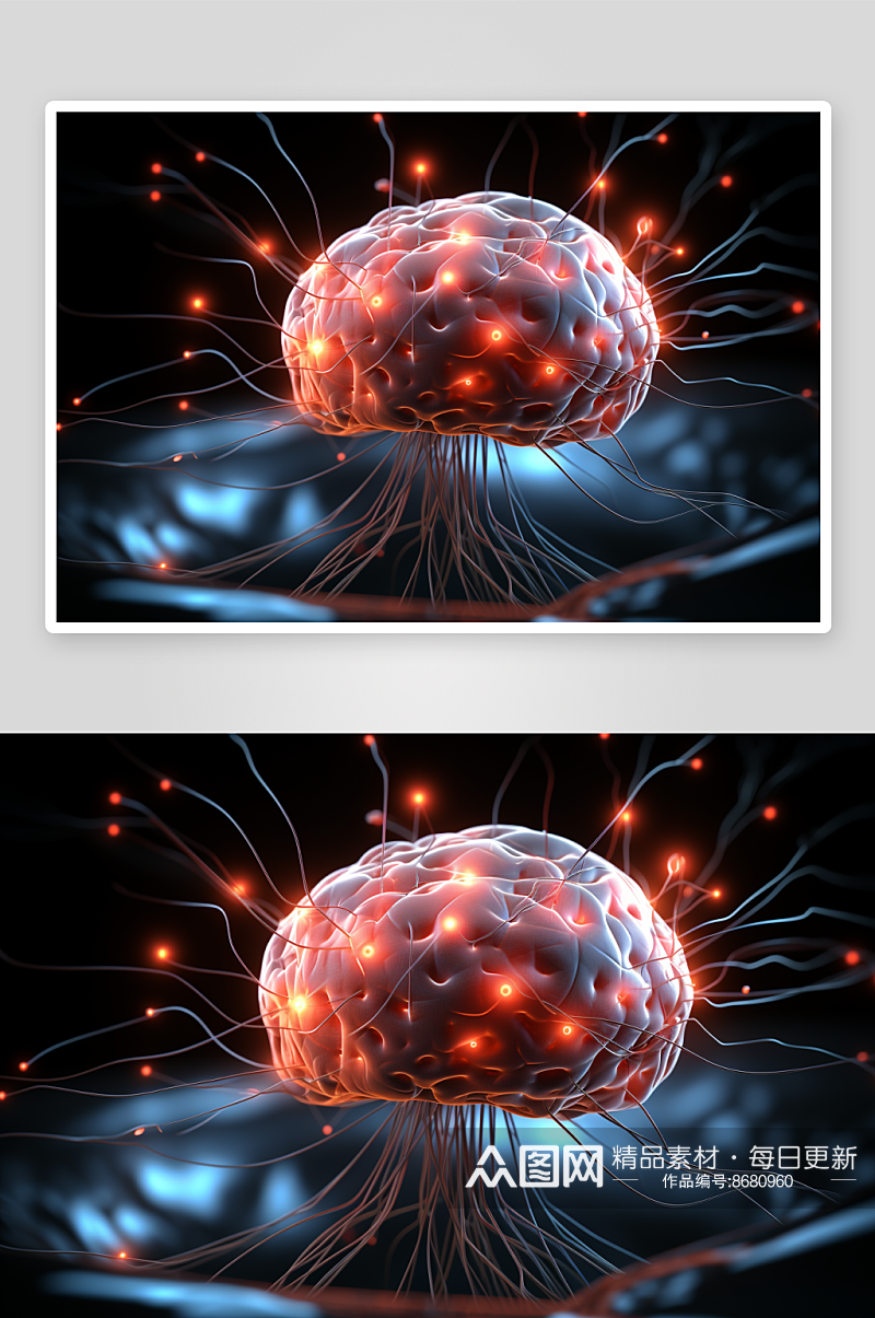 数字艺术大脑结构体图片素材