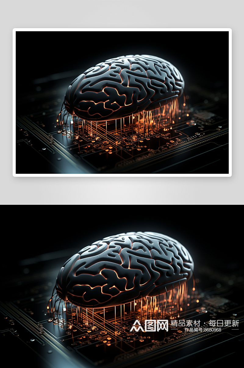 数字艺术大脑结构体图片素材