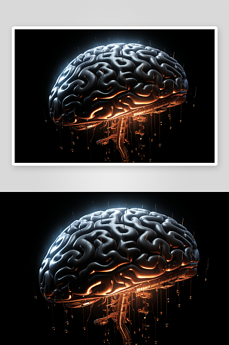 数字艺术大脑结构体图片