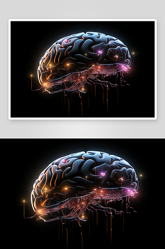 数字艺术大脑结构体图片