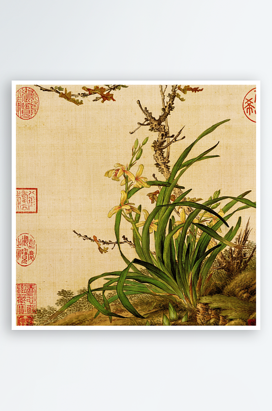 高清复古工笔花卉植物图片