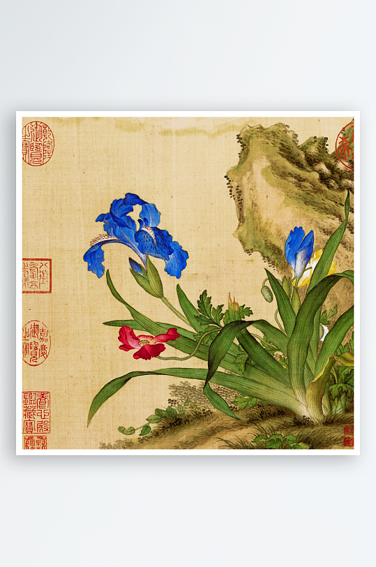 高清复古工笔花卉植物图片