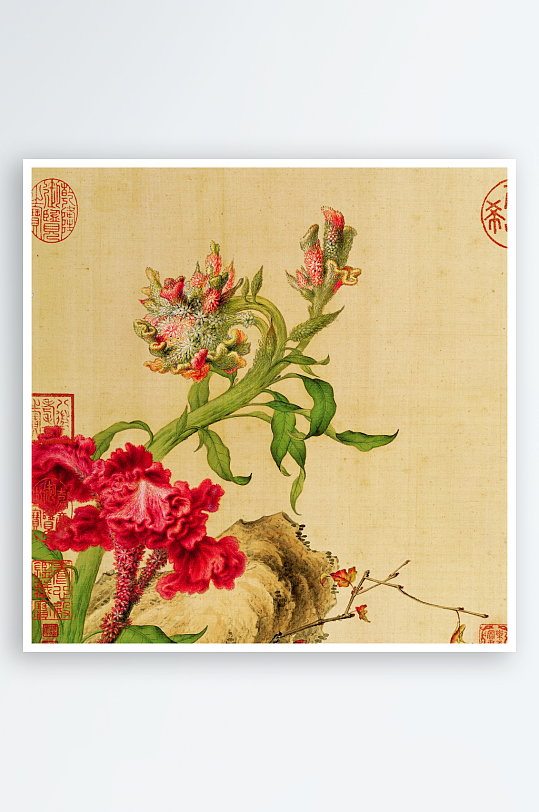 高清复古工笔花卉植物图片