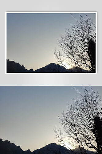 树后的清晨风景摄影图