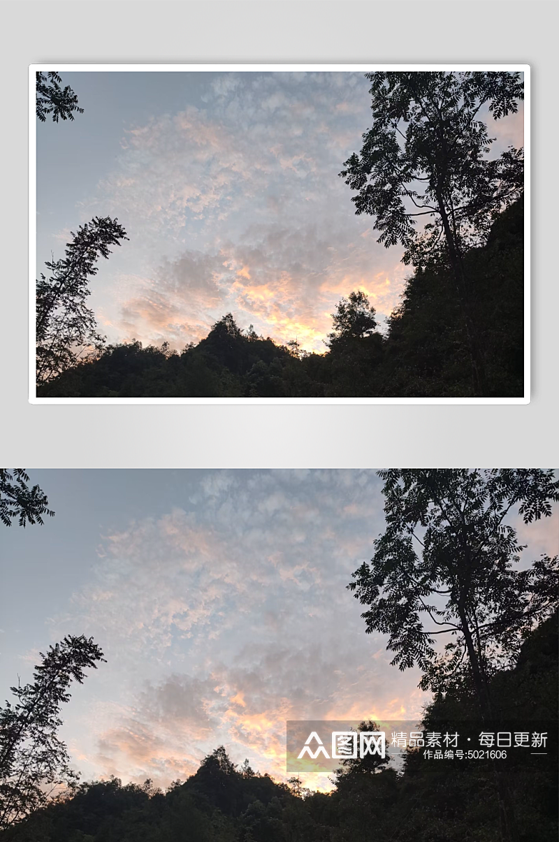 红云傍晚阳红下的树摄影图素材