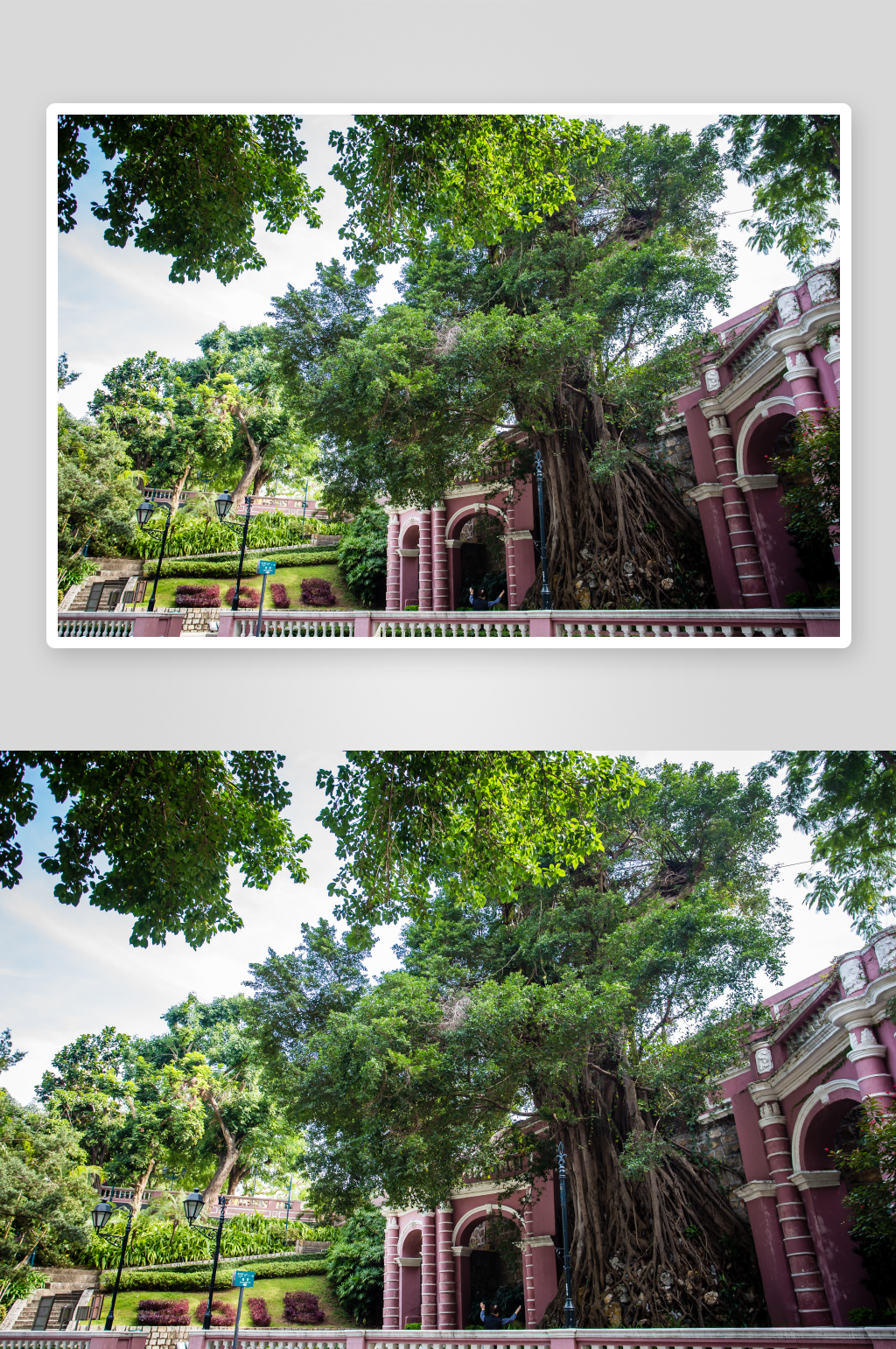 澳門風(fēng)景建筑大廈城市風(fēng)光旅游景點(diǎn)圖片素材素材