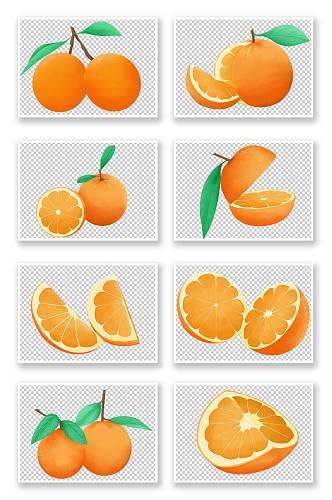 橙子写实冬季水果橘子元素插画