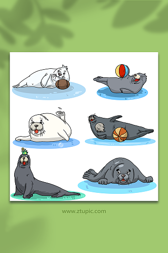 可爱海豹海豹动物元素插画