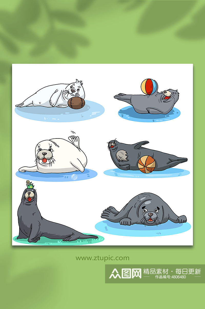 可爱海豹海豹动物元素插画素材