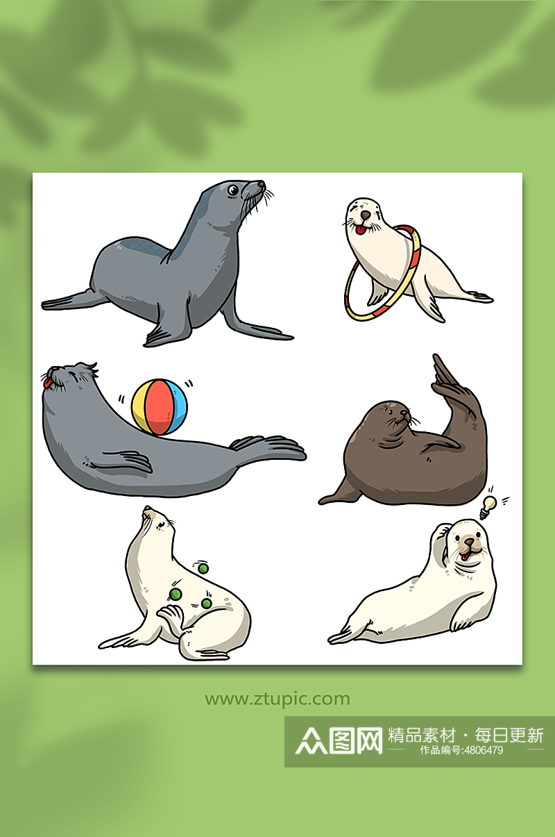 简单海豹动物元素插画素材