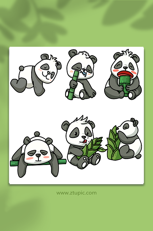 可爱简约吃竹子熊猫动物元素插画
