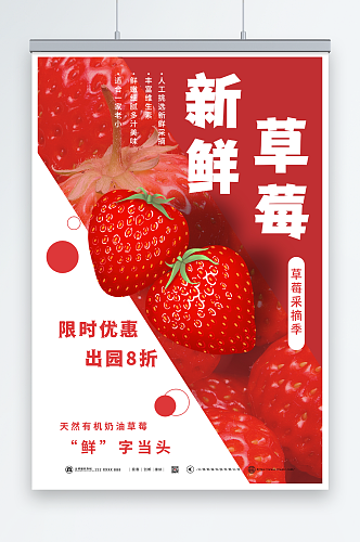 简约大气草莓采摘宣传海报
