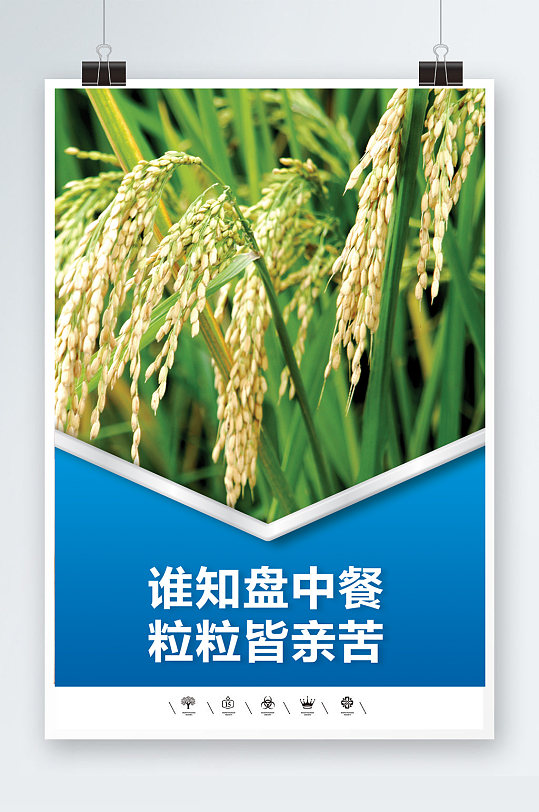 粮食安全校园海报