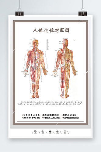 医院挂图人体穴体对比图