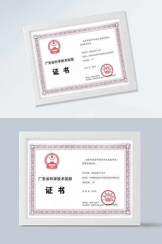 国家科学技术进步奖证书-众图网