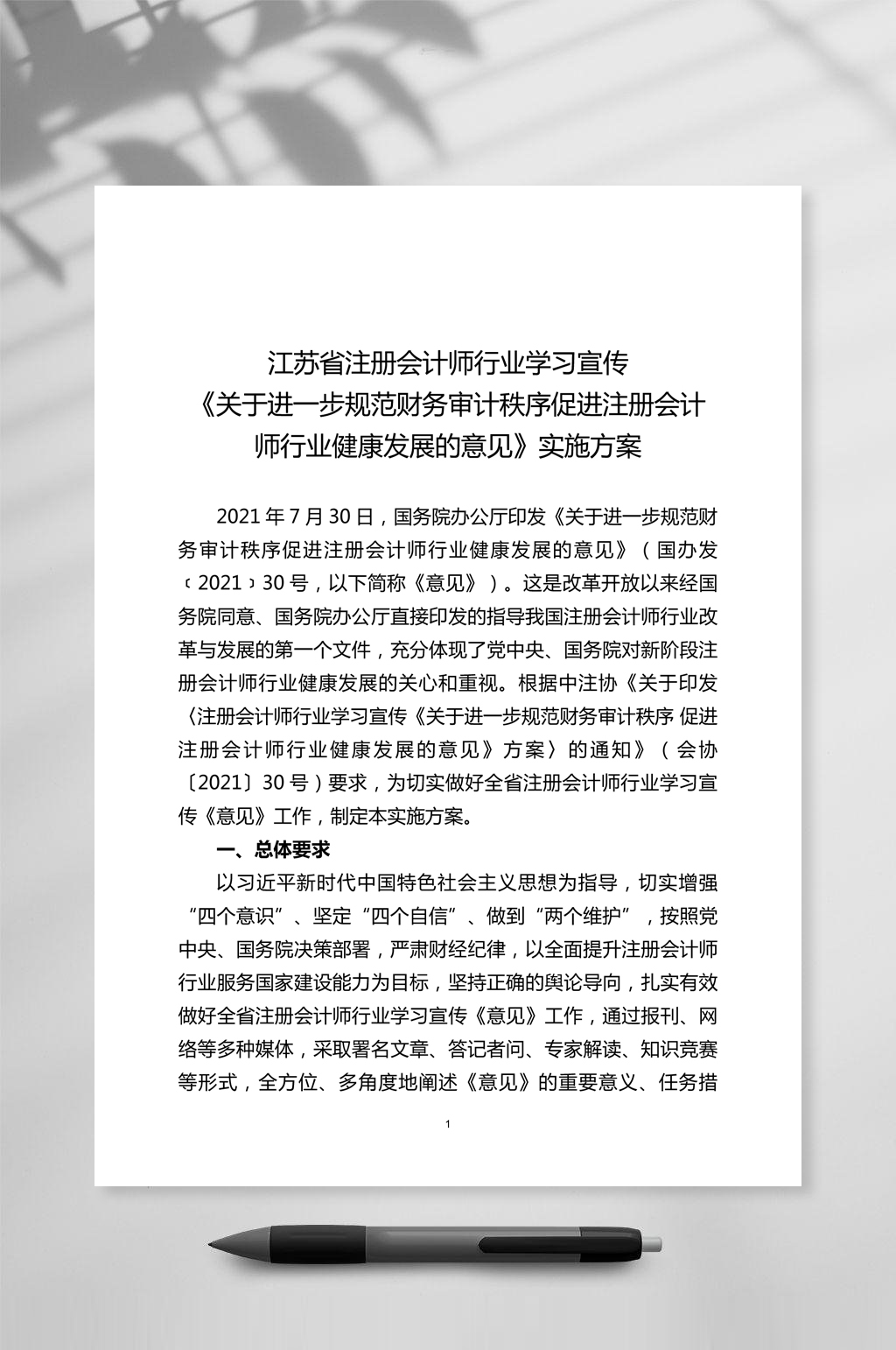 宣传注册会计师行业健康发展方案素材