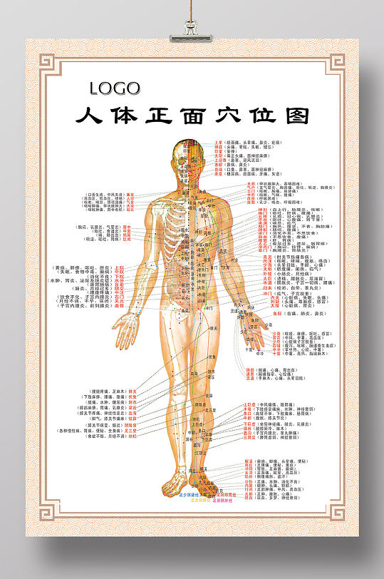 正面穴位图中医文化