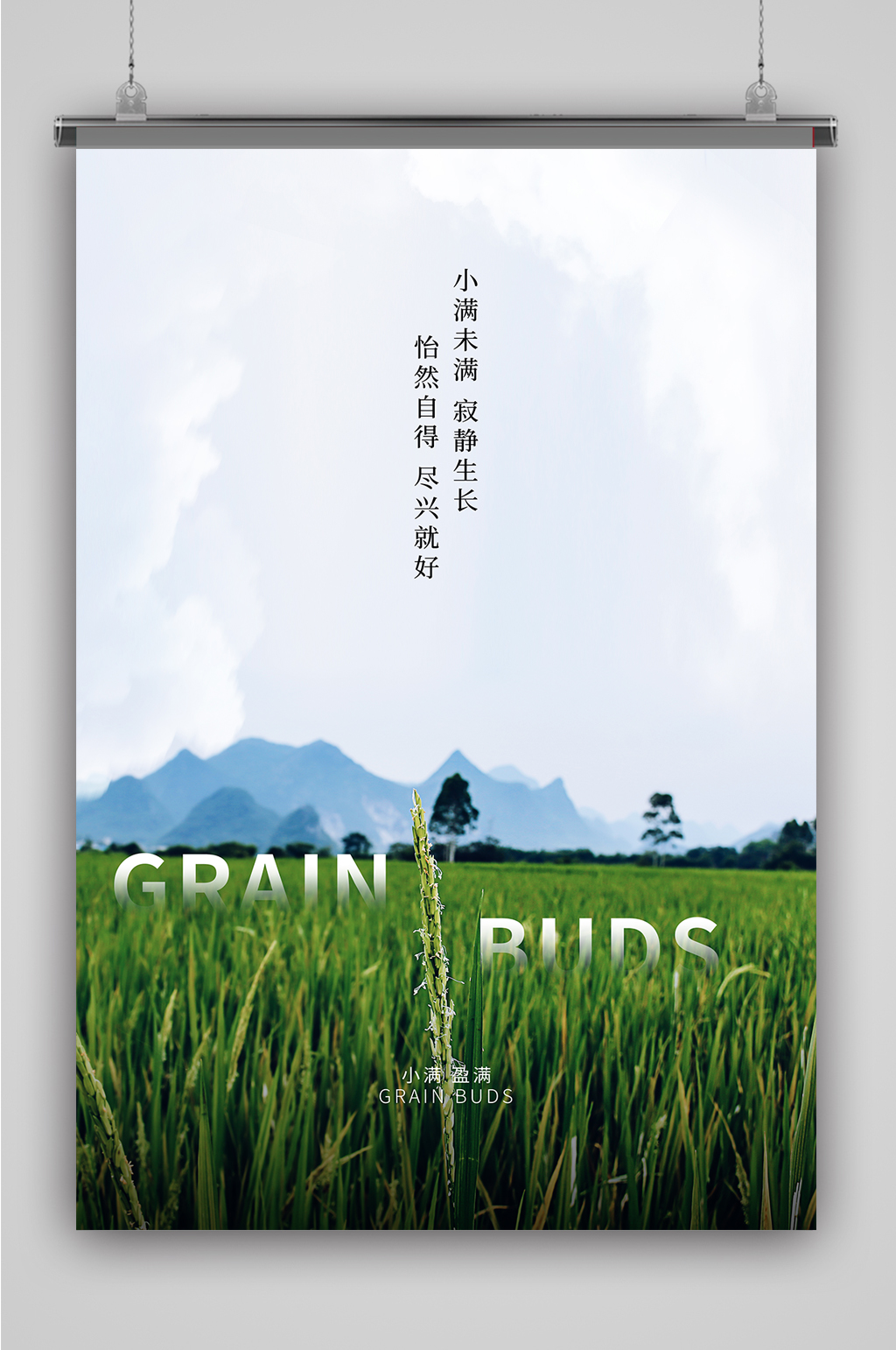 万物生长小满海报素材
