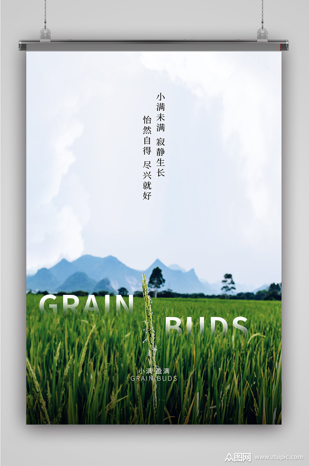 万物生长小满海报素材