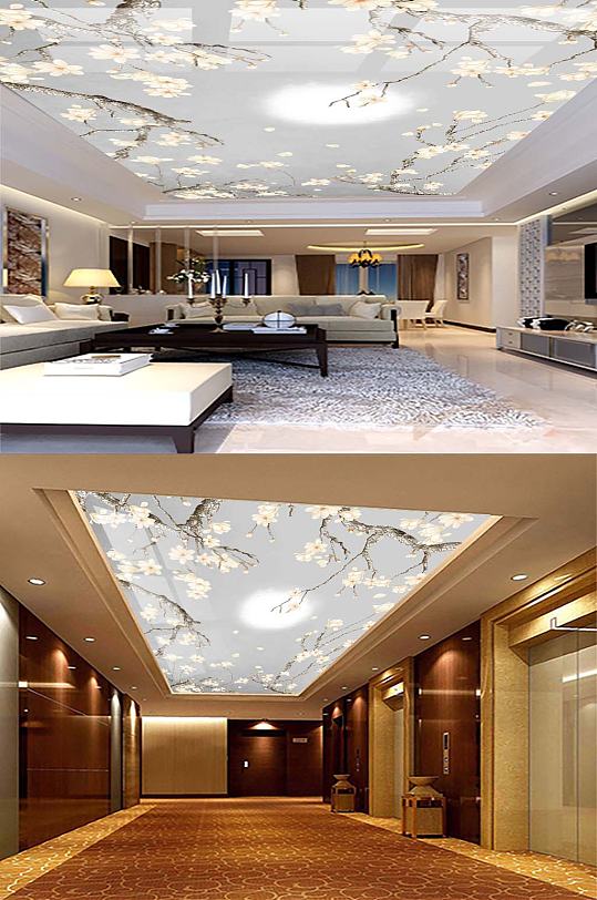 客厅花鸟天花吊顶-众图网