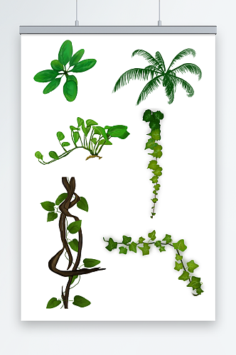 绿色藤条青藤植物树叶春季插画元素