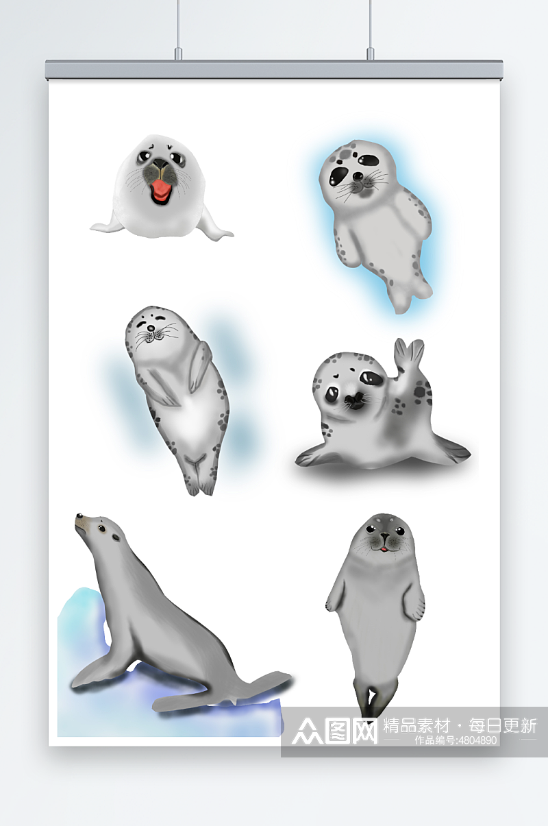 手绘海豹动物元素插画素材