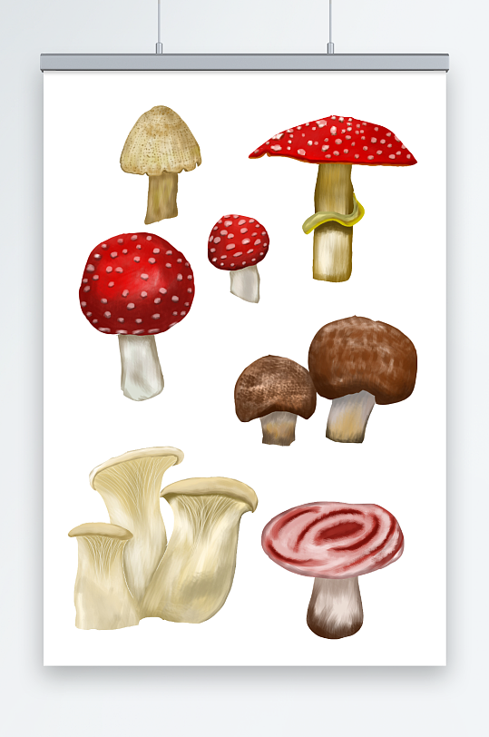 春季食用菌菇蘑菇元素插画