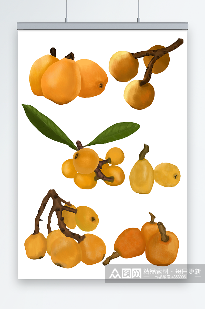 写实枇杷水果元素插画素材