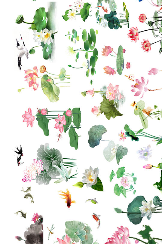 荷花单个PNG图片-众图网