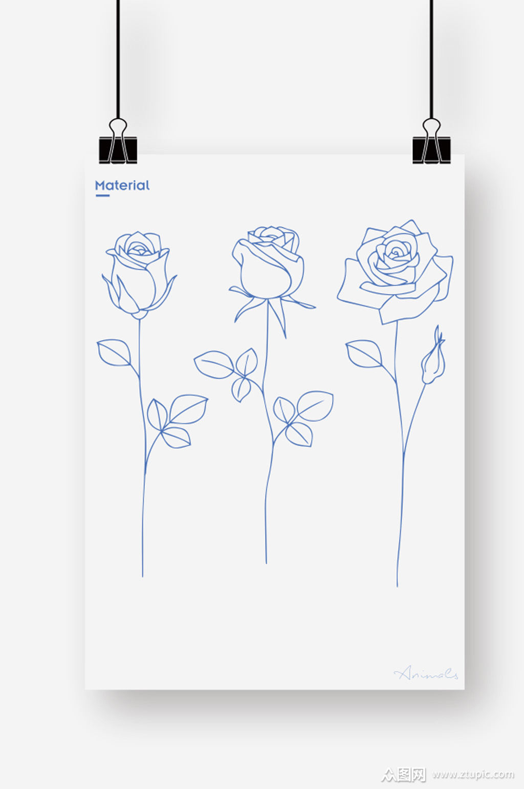 矢量图线条玫瑰画