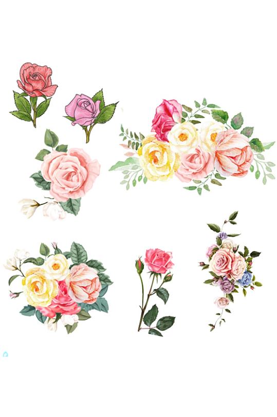 手绘玫瑰花图片 手绘玫瑰花素材下载 众图网