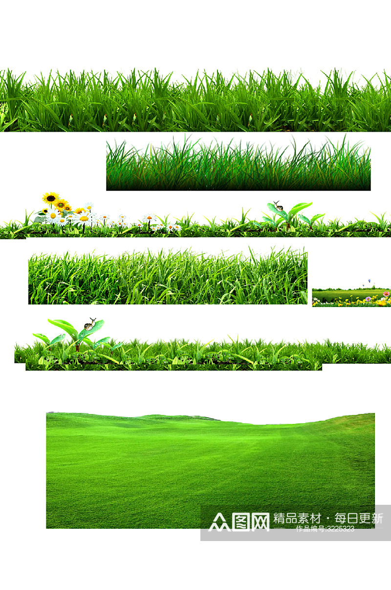 草坪草地绿色植物花草素材
