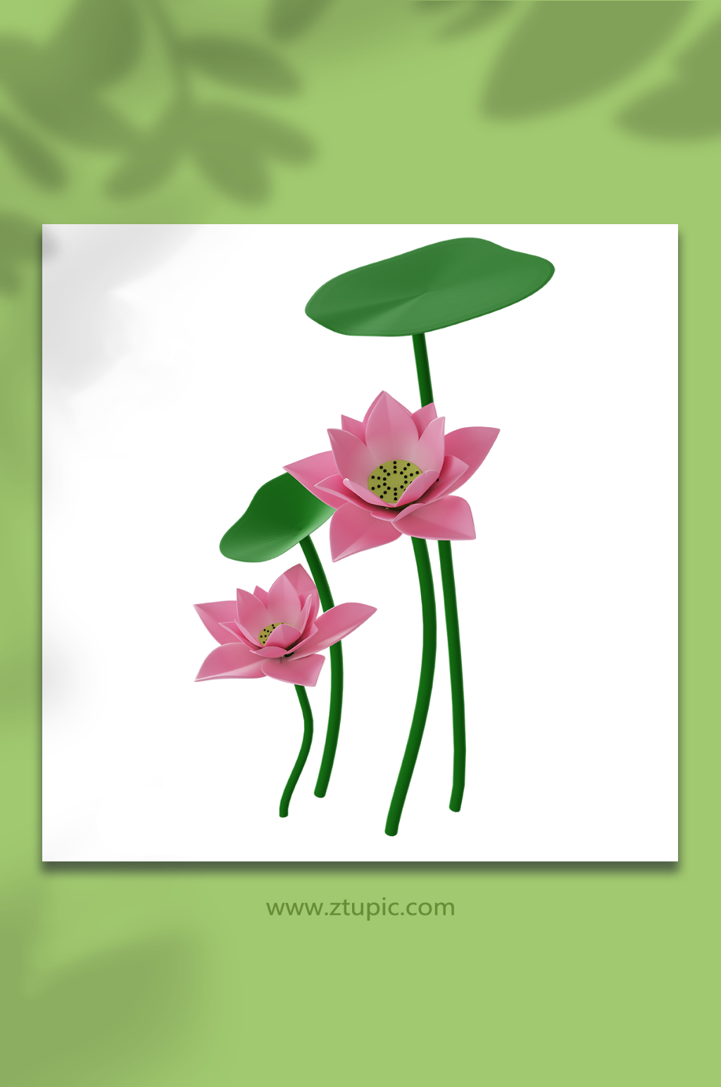 3D立体荷花模型素材