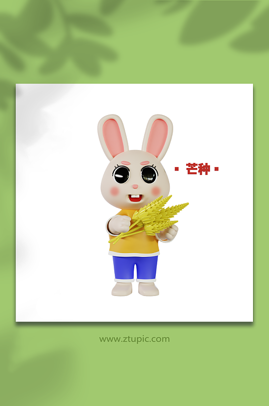 兔年二十四节气3d模型芒种
