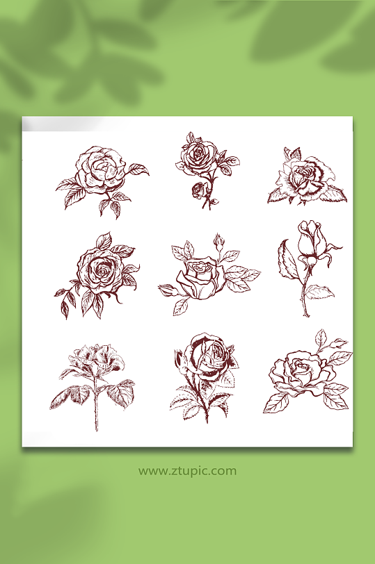 线性矢量AI玫瑰花卉插画元素