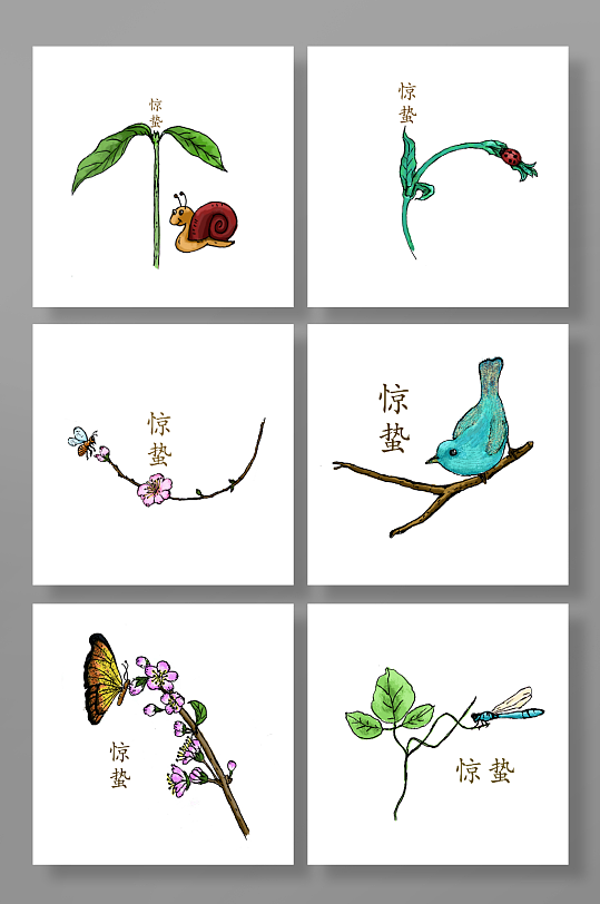 蜗牛小鸟蝴蝶植物惊蛰节气元素插画