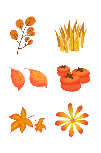 秋天枫叶树木果实素材