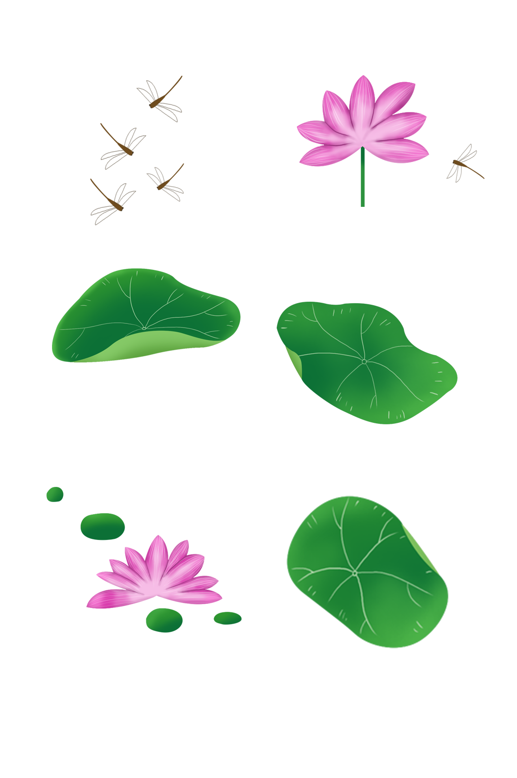 荷叶荷花手绘素材素材