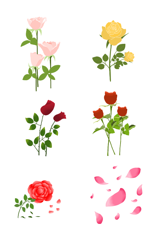 玫瑰花手绘矢量素材