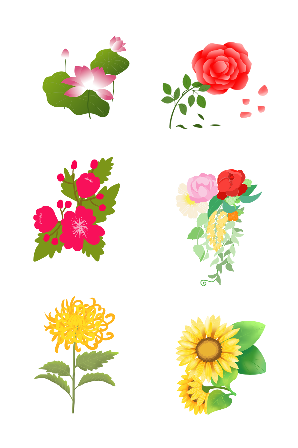花卉鲜花花朵素材素材