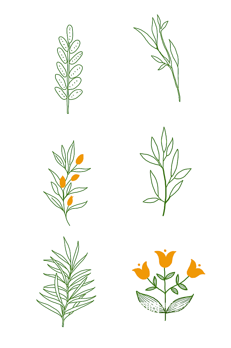 绿色植物手绘线稿素材