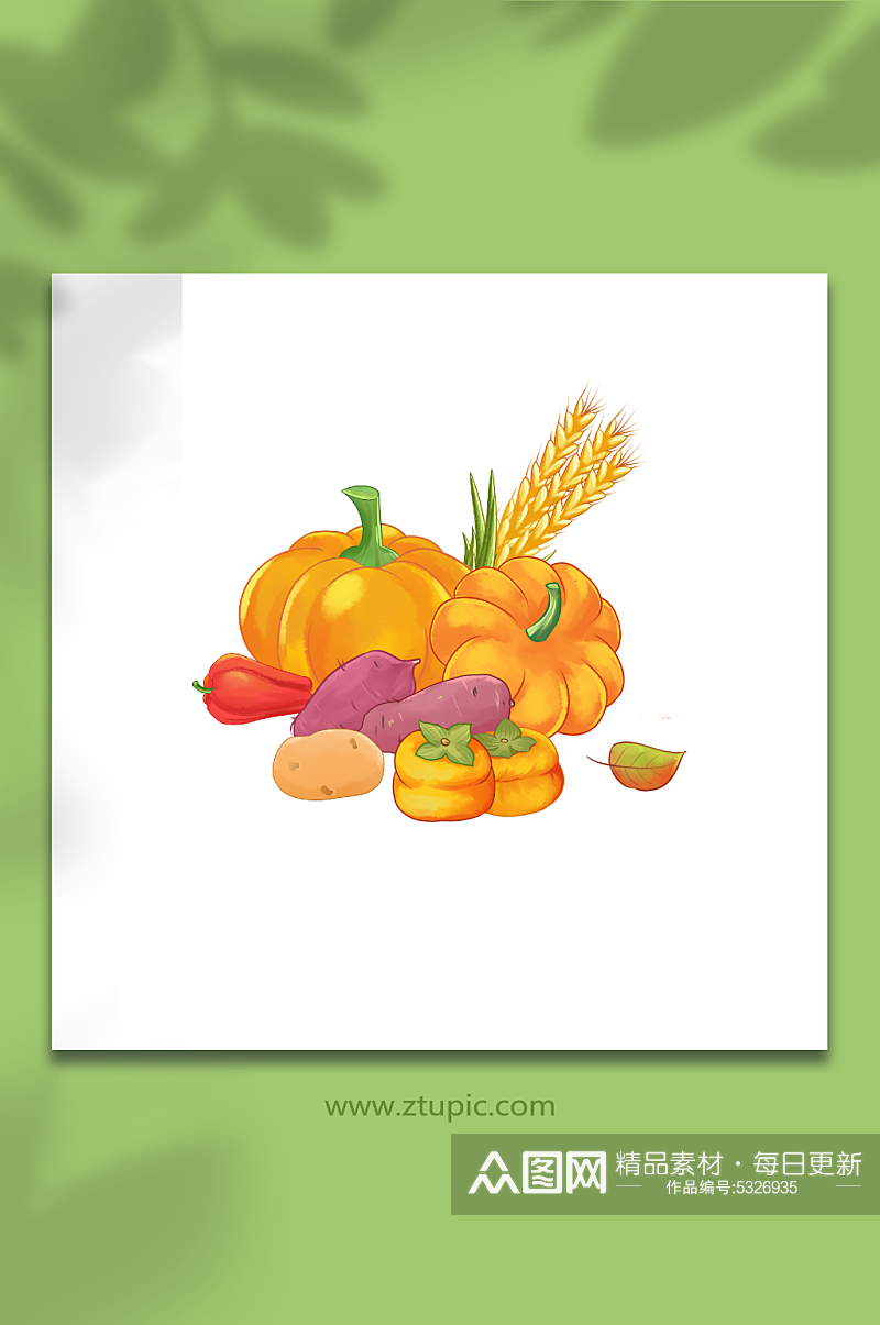 立秋秋季农作物南瓜柿子红薯大丰收元素素材