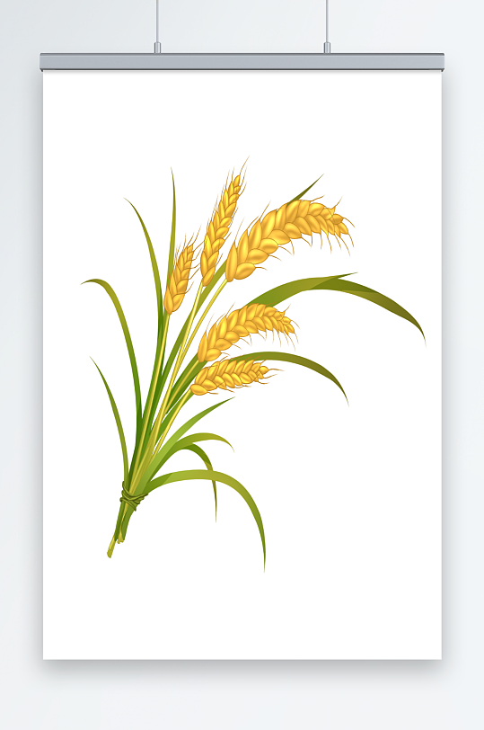 立秋秋季芒种丰收成熟小麦