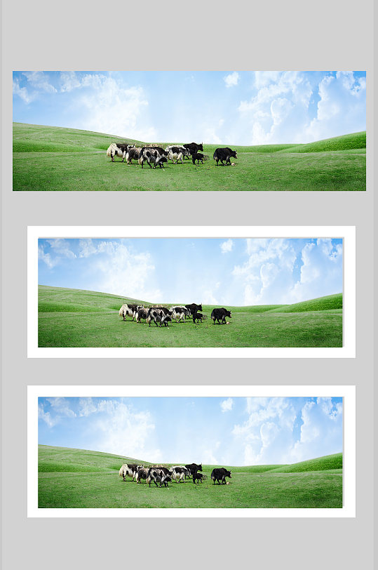 草原放牧牛群背景素材-众图网